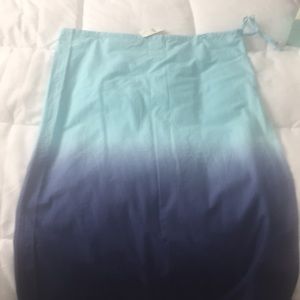 Ombré skirt